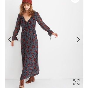 NEW • Madewell • Willowleaf Maxi Floral Dress 4